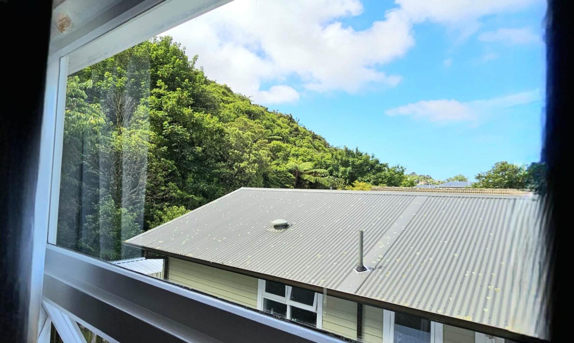 Bridge & Birds Bed & Breakfast Wellington Bagian luar foto
